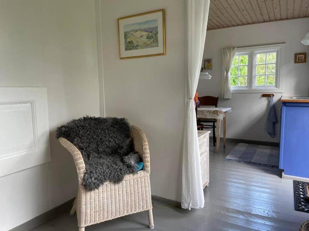 Homestay Vaerelser I Historisk Hus Med Sjael Og Atmosfaere *