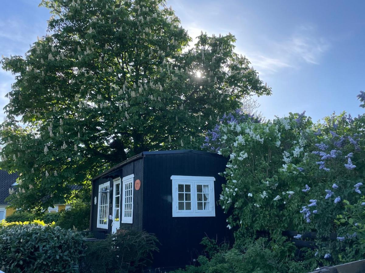 Homestay Vaerelser I Historisk Hus Med Sjael Og Atmosfaere *